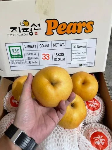 鮮梨 外包裝
