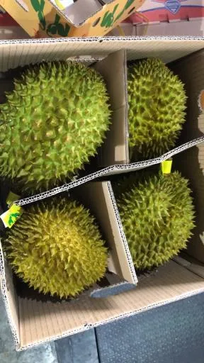 鮮榴槤 外包裝