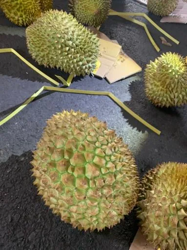 鮮榴槤 外包裝