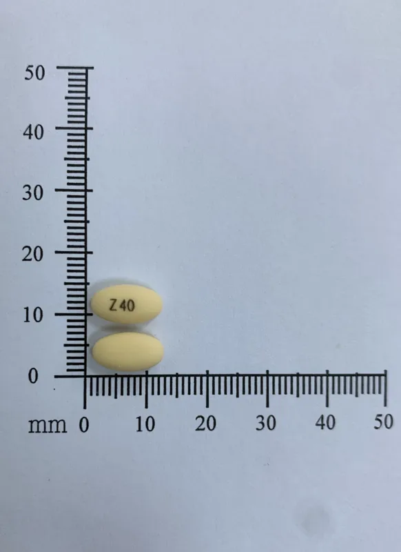治胃平腸溶膜衣錠40毫克外觀