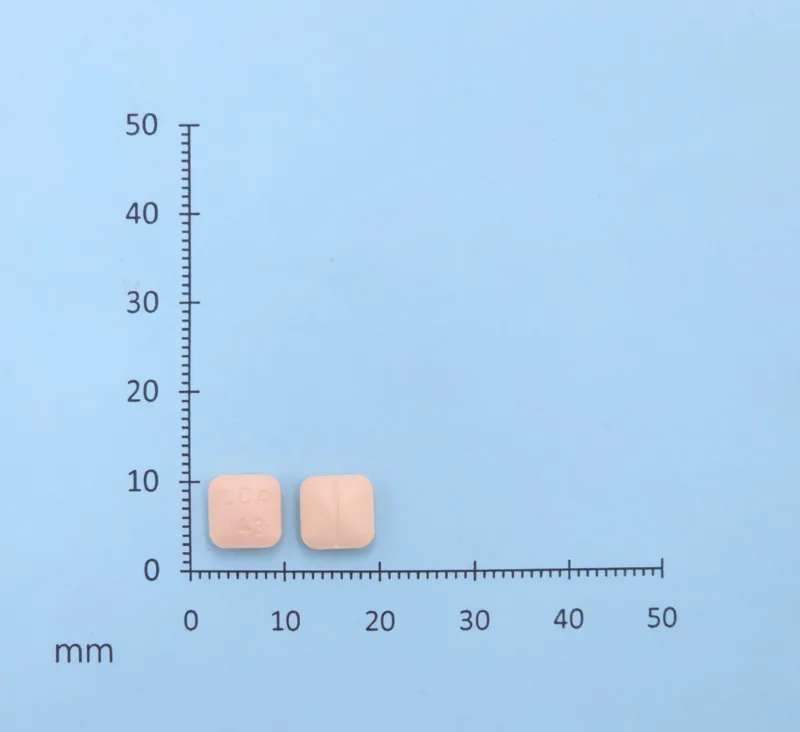 蒙地卡膜衣錠 10 毫克外觀