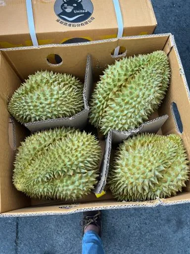 鮮榴槤 外包裝