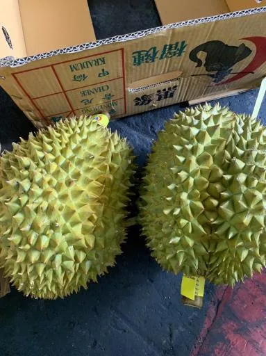 鮮榴槤 外包裝