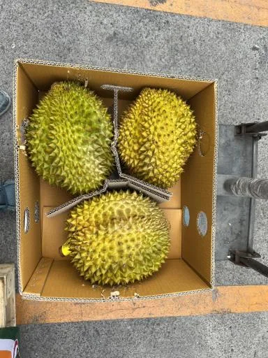 榴槤 外包裝