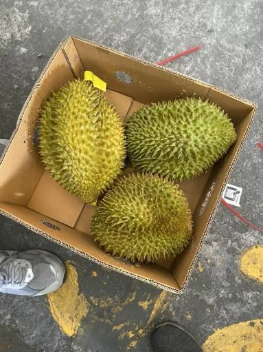 鮮榴槤 外包裝