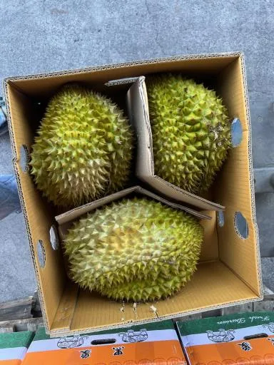 榴槤 外包裝