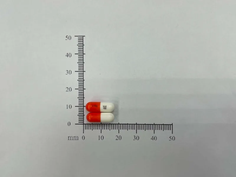 癲能停膠囊外觀