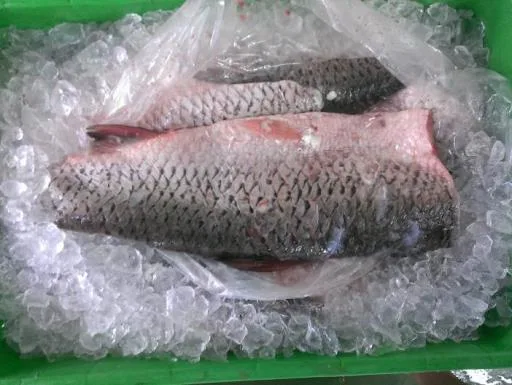 草魚 外包裝