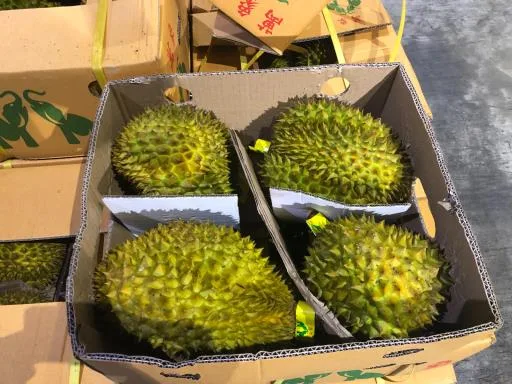 鮮榴槤 外包裝