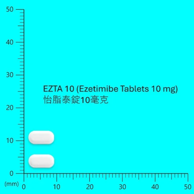 怡脂泰錠10毫克外觀