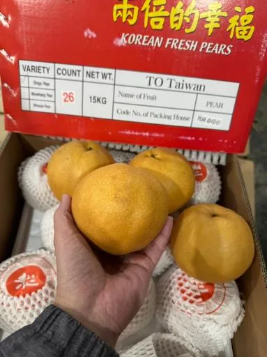 鮮梨 外包裝