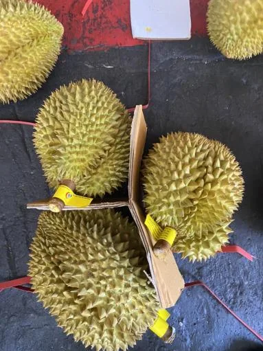 鮮榴槤 外包裝