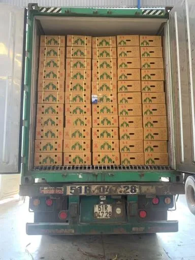 鮮榴槤 外包裝