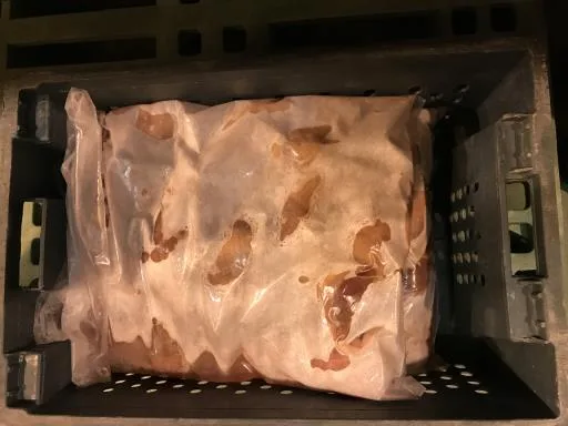 骨腿T8兩 外包裝