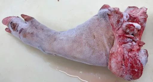 前腳(原料) 外包裝