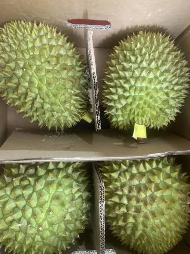 鮮榴槤 外包裝