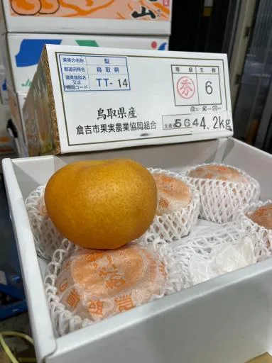 鮮梨 外包裝