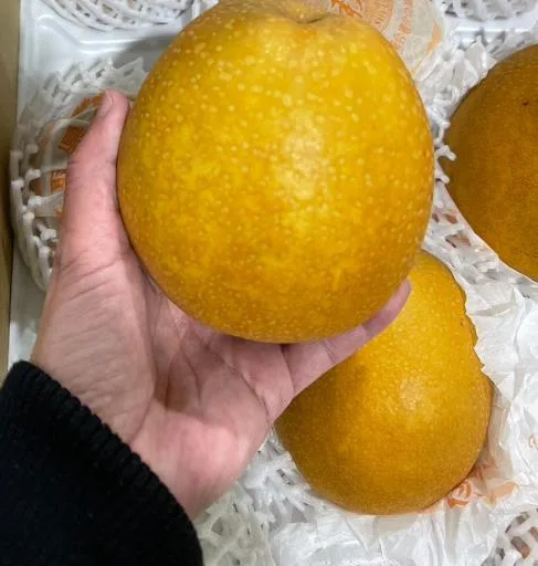 鮮梨 外包裝
