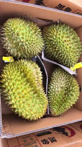 鮮榴槤 外包裝