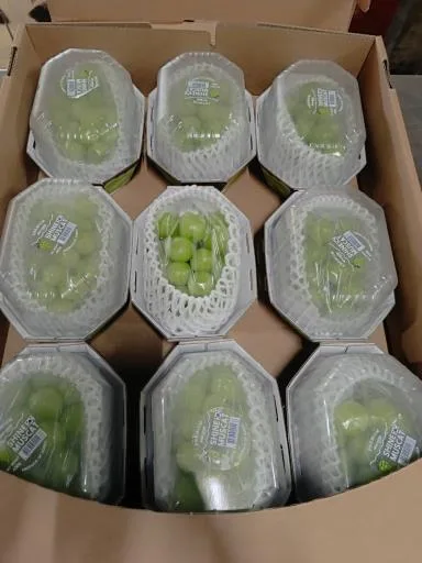 葡萄 外包裝