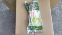 養生桂竹筍 外包裝