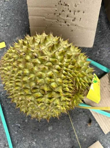 鮮榴槤 外包裝