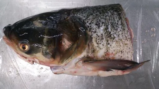 鰱魚頭 外包裝