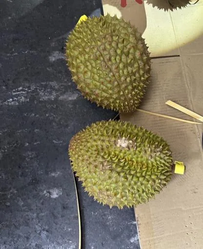 榴槤 外包裝
