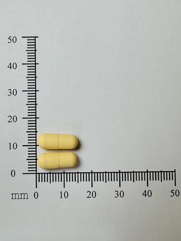 思有得持續性藥效膠囊22毫克外觀