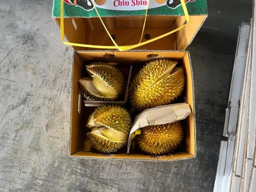 鮮榴槤 外包裝