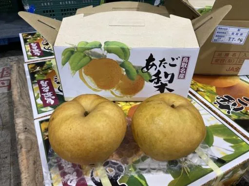 鮮梨 外包裝