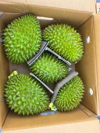 鮮榴槤 外包裝