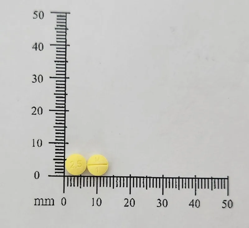 滅殺除炎錠2.5毫克外觀