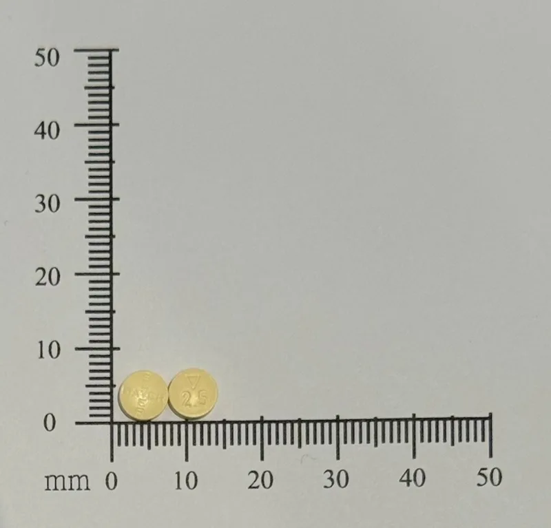 拜瑞妥膜衣錠2.5毫克外觀