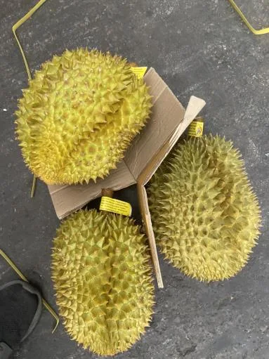 鮮榴槤 外包裝