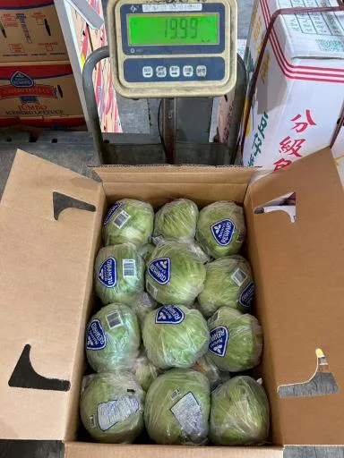 鮮結球萵苣 外包裝