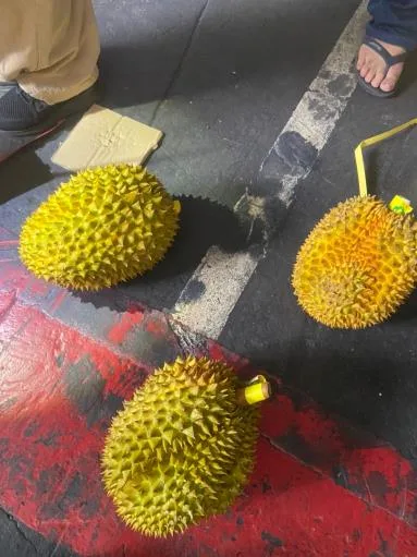 鮮榴槤 外包裝