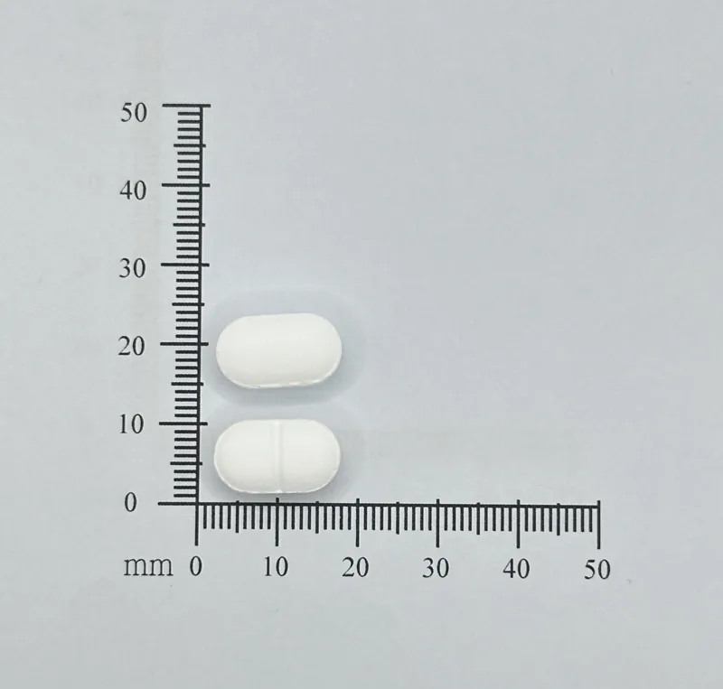 “國嘉”濾糖素錠 500 毫克外觀