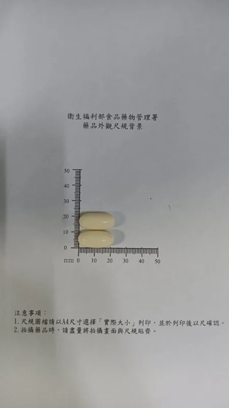蘭諾德軟膠囊40毫克外觀
