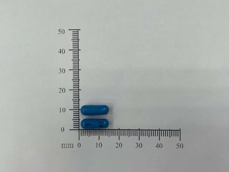 哲思膠囊４０毫克外觀