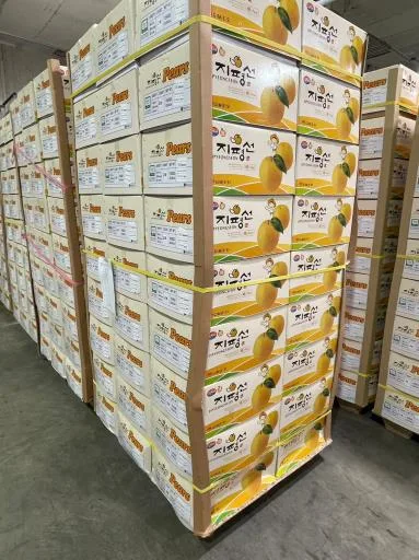 鮮梨 外包裝