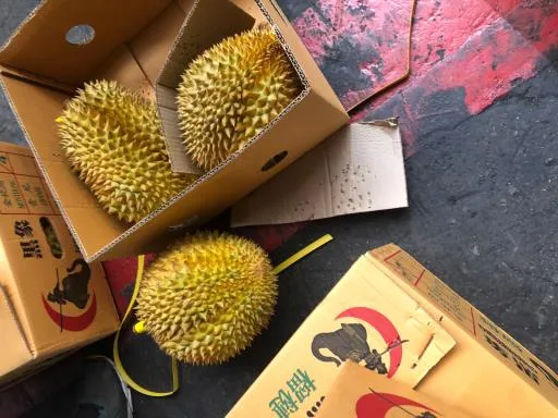 鮮榴槤 外包裝
