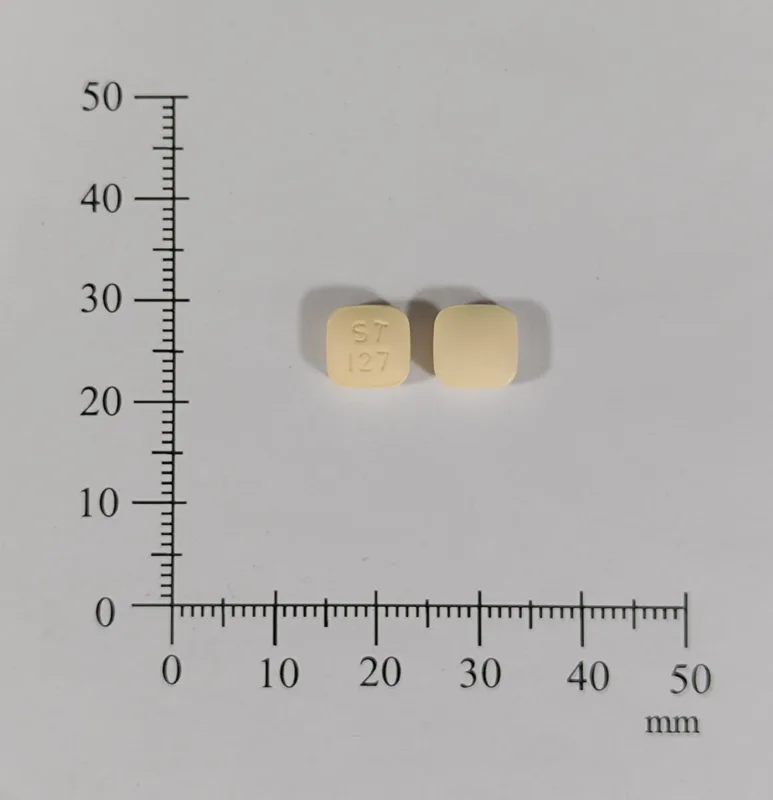 “信東”喘停欣膜衣錠 10 毫克外觀
