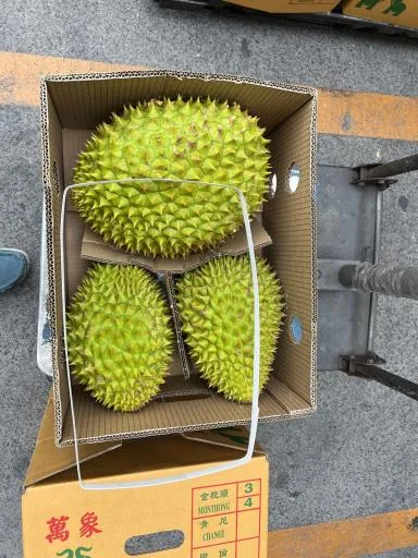 榴槤 外包裝