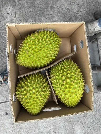 榴槤 外包裝