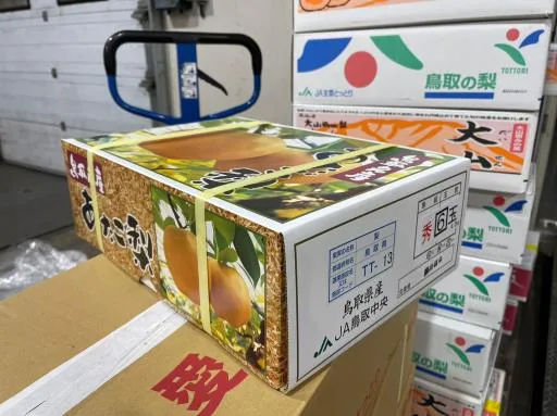 鮮梨 外包裝
