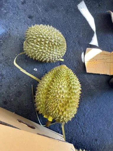 鮮榴槤 外包裝