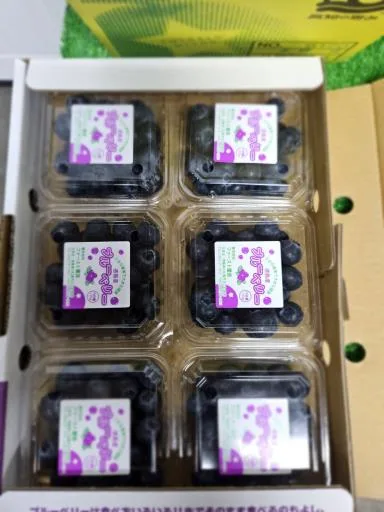 藍莓 外包裝