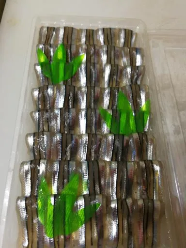 日本丁香魚 外包裝