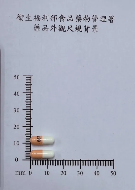 立樂寧膠囊75毫克外觀